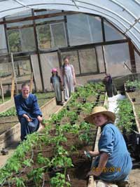 Planting Tomatoes